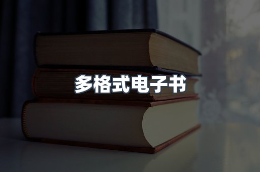 多格式电子书